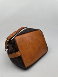 Petit Noé